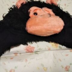 被り物ゴリラの画像