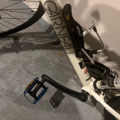 自転車【ルイガノ】の画像