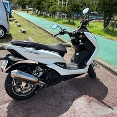 マジェスティS155の画像