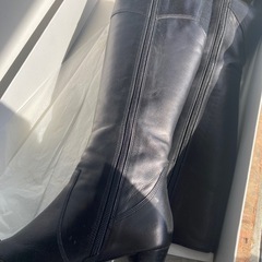 REGAL23.5センチの画像