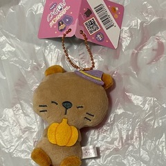 つぶらな瞳のシリーズのセット売りの画像