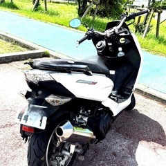 マジェスティS155の画像