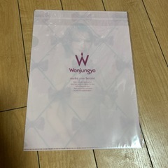 ウォンジョンヨ × TWICEモモ コラボクリアファイルの画像