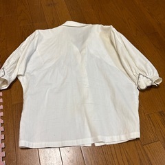 白綺麗目シャツの画像