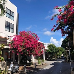 週5勤務出来る方募集☆の画像
