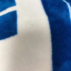 FIGHTERS ファンクラブ限定 膝掛けの画像