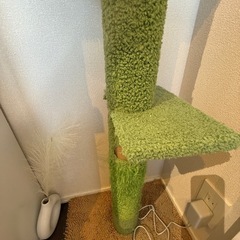 キャットタワーの画像