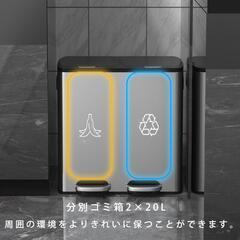 ゴミ箱 ふた付き 分別 2×20L ゴミ袋2ロール付き　自立式ステンの画像