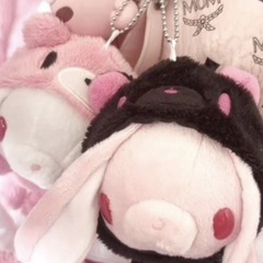 探してます♡汎用うさぎ グルーミー の画像