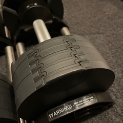  【美品】フレックスベル2キロ刻み20KG✖︎2個セットの画像