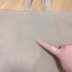 ランチバッグ　POLAの画像