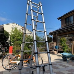 伸縮ハシゴの画像