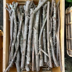 【薪に…】伐採木、楠木、ネムノキありますの画像