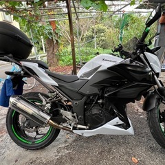 Z250   実働，自賠責保険2026年5月までの画像