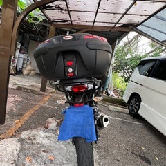 Z250   実働，自賠責保険2026年5月までの画像