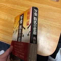 写楽仮名の悲劇新潮社の画像