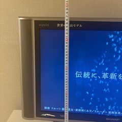 テレビの画像