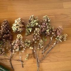 無農薬　柏葉アジサイ　紫陽花ドライフラワー　一箱　セットの画像