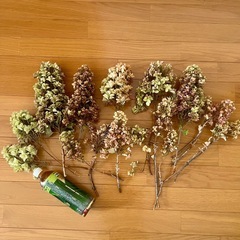 無農薬　柏葉アジサイ　紫陽花ドライフラワー　一箱　セットの画像
