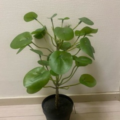 IKEA植物FEJKA フェイカ 2個　の画像
