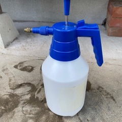 庭のいろいろの画像