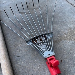 庭のいろいろの画像