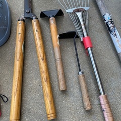 庭のいろいろの画像