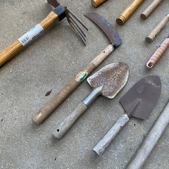 庭のいろいろの画像