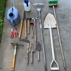 庭のいろいろの画像