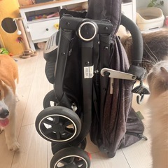 ベビーカーの画像