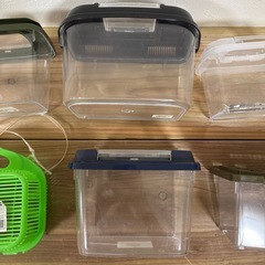 昆虫飼育ケース 6個セットの画像
