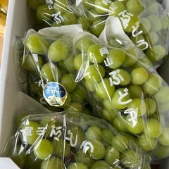さんつかるりんご10個の画像