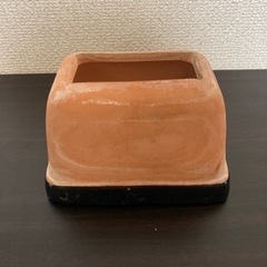 スドー　爬虫類ウェットシェルターMの画像