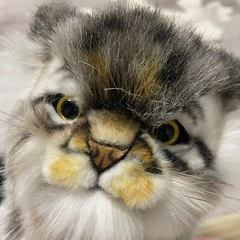 ♢美品  スズメの戸締り ダイジン＆マヌルネコ😸 ぬいぐるみ2種セットの画像