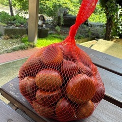 栗 500g 採れたて🌰 鴨方駅周辺受け渡しの画像