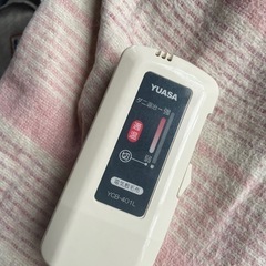 カーペットと電気マット
の画像