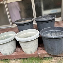 花の器5個の画像