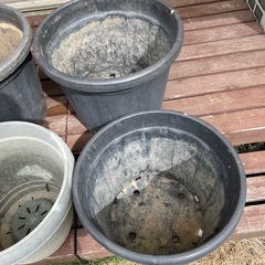 花の器5個の画像