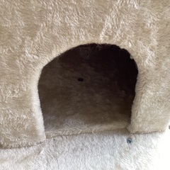 キャットタワー　新品同様の画像