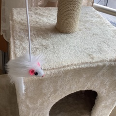 キャットタワー　新品同様の画像