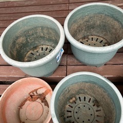 花の器6個の画像