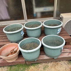 花の器6個の画像