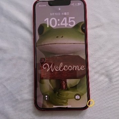 9/12 10時に三ツ境駅か瀬谷駅で 極美品 iPhone 13 mini Redの画像