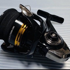 DAIWA LEGALIS LT 5000-CXH リールの画像