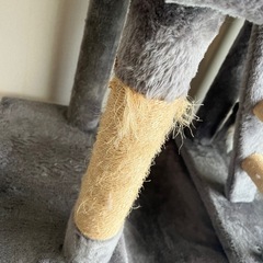 キャットタワーの画像