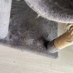 キャットタワーの画像