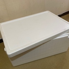発泡スチロール箱 55.38.28cmの画像