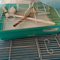 鳥かごの画像