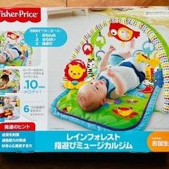 フィッシャープライス(fisher price) 感覚を育てよう！指遊びミュージカルジム 【お誕生（0ヵ月）～】【赤ちゃん おもちゃ】  の画像