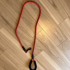 大型犬用リードの画像